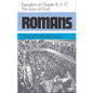 Romans 8:5-8:17: The Sons of G - Hardcover