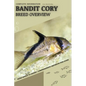 Bandit Cory: From Novice to Expert. Comprehensive Aquarium Fish Guide - Paperback
