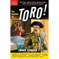 The Making of Toro: Bullfights, Broken Hearts, and One Author's Quest for the Acclaim He Deserves - Paperback