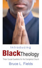 Introducing Black Theology - Paperback