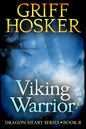Viking Warrior - Paperback