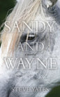 Sandy and Wayne - Paperback