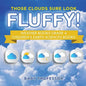 Those Clouds Sure Look Fluffy! Weather Books Grade 4 Children's Earth Sciences Books - Paperback