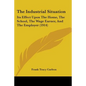 The Industrial Situation: Its Effect Upon The Home, The School, The Wage Earner, And The Employer (1914) - Paperback