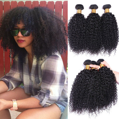Brazil's Explosion Of African Songs, Human Hair Curtains, Kinky Curly, Wholesale Hair