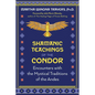 Shamanic Teachings of the Condor: Encounters with the Mystical Traditions of the Andes - Paperback
