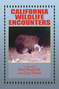 California Wildlife Encounters - Paperback