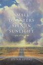 Small Disasters Seen in Sunlight - Paperback