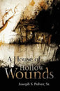 A House of Hollow Wounds - Paperback