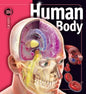 Human Body - Hardcover