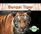 Bengal Tiger - Library Binding