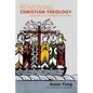 Renewing Christian Theology: Systematics for a Global Christianity - Paperback