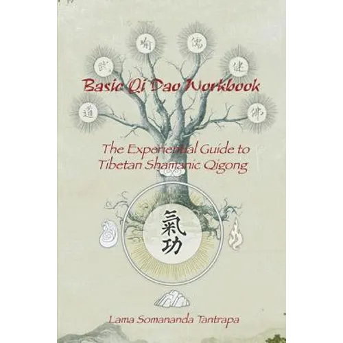 Basic Qi Dao Workbook: The Experiential Guide To Tibetan Shamanic Qigong - Paperback