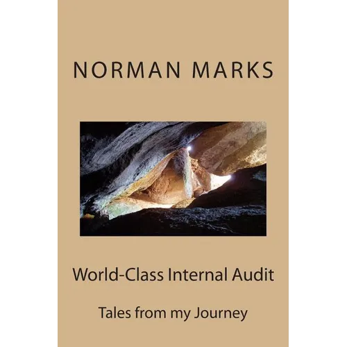 World-Class Internal Audit: Tales from my Journey - Paperback