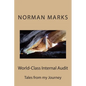 World-Class Internal Audit: Tales from my Journey - Paperback