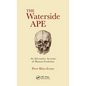 The Waterside Ape: An Alternative Account of Human Evolution - Hardcover