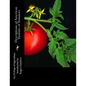 Descriptions of American Varieties of Tomatoes - Paperback