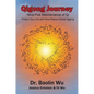 Qigong Journey: Nine-Five Maintenance of Qi, Protect Your Life with Nine Palaces Daoist Qigong - Paperback