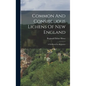 Common And Conspicuous Lichens Of New England: A Fieldbook For Beginners - Hardcover
