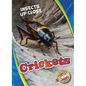 Crickets - Library Binding