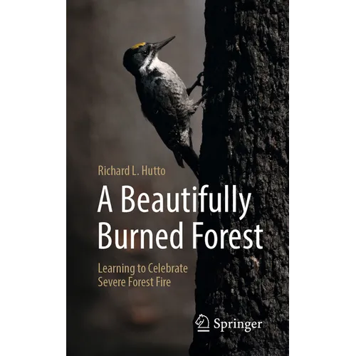 A Beautifully Burned Forest: Learning to Celebrate Severe Forest Fire - Paperback
