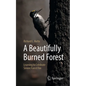 A Beautifully Burned Forest: Learning to Celebrate Severe Forest Fire - Paperback