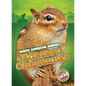 Eastern Chipmunks - Library Binding