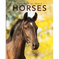 Horses: Amazing Pictures & Fun Facts on Animals in Nature - Paperback