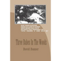 Three Babes in the Woods - Paperback