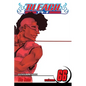 Bleach, Vol. 66 - Paperback