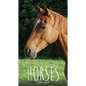 Horses 2021 Diary: Slim Pocket Calendar, Monthly Planner, Date Book, Organizer, Notepad - Paperback