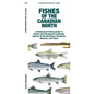 Fishes of the Canadian North - Paperback