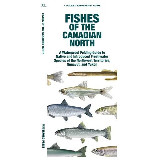 Fishes of the Canadian North - Paperback