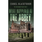 What Happened at the Abbey - Hardcover