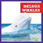 Beluga Whales - Paperback