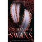 The Enchanted Swans: An Irish Fairy Tale Retelling - Hardcover