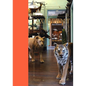 Taxidermy - Hardcover