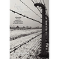 A Bridge to the Generations: A Personal Memoir Inspired by the Experiences of Marie Rebhun - Paperback