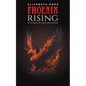 Phoenix Rising: My Journey with Bipolar Disorder - Paperback
