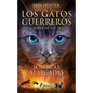 Sombras Alargadas / Long Shadows - Paperback