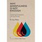 Why Mindfulness is not Enough: Unlocking Compassion with Equanimity - Paperback
