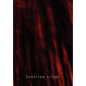 Tomorrow Brings (Limited Hc) - Hardcover