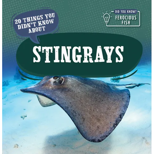 20 Things You Didn't Know about Stingrays - Library Binding