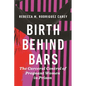 Birth Behind Bars: The Carceral Control of Pregnant Women in Prison - Paperback