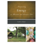 Interpreting Energy at Museums and Historic Sites - Paperback