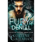 Fury of Denial - Paperback