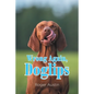 Wrong Again, Doglips - Paperback