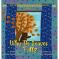 Why Do Leaves Fall?: Book 4 of The VERY Important Question Series - Hardcover