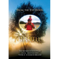 from the top down: truth - Paperback