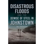 Disastrous Floods and the Demise of Steel in Johnstown - Hardcover